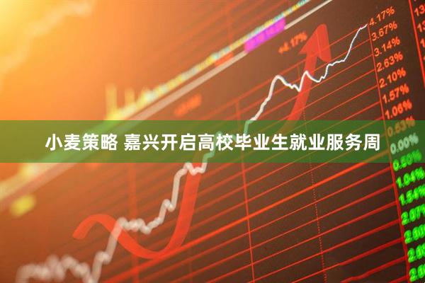 小麦策略 嘉兴开启高校毕业生就业服务周