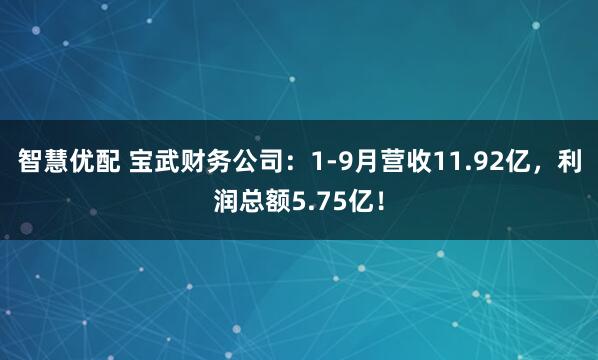 智慧优配 宝武财务公司：1-9月营收11.92亿，利润总额5.75亿！