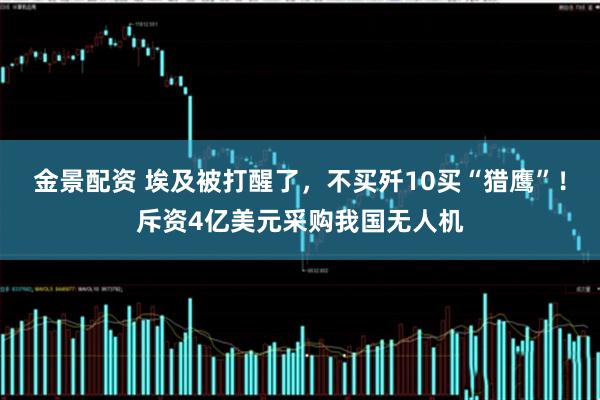 金景配资 埃及被打醒了，不买歼10买“猎鹰”！斥资4亿美元采购我国无人机